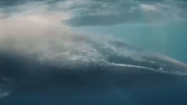 Моана фильм трейлер новинка #2026 смотреть онлайн