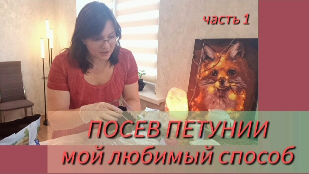 Посев петуний на рассаду. Делюсь секретами хороших всходов. Часть 1✅ смотреть онлайн