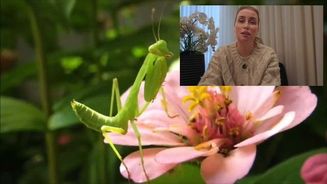 ПРОГНОЗ НА ПОЛНОЛУНИЕ для всех знаков зодиака // ЧАСТЬ 1 ✨️ смотреть онлайн