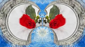 Картины Розы на Снегу в Ледяной Галерее 4 от Киностудии Мудрого Кота Тимофея!