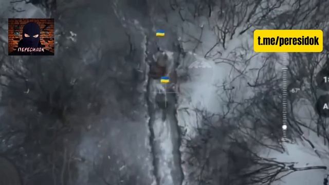 Погорельцы-ВСУшники не могут придится на новых позициях смотреть онлайн