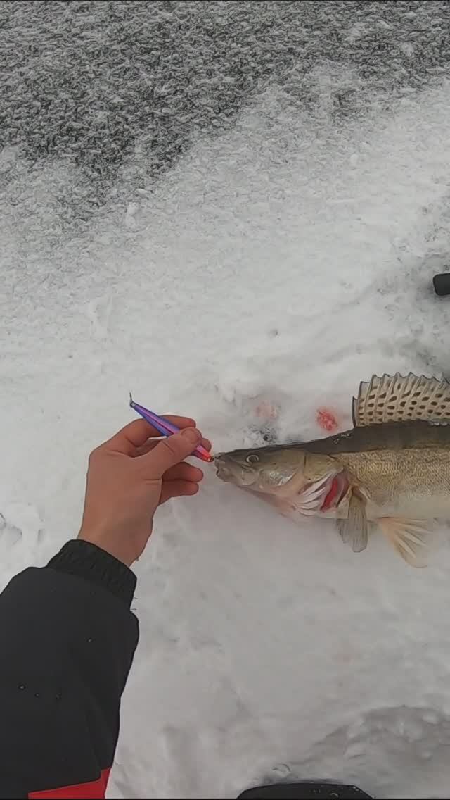 СУДАК НА БЛЕСНУ/ЗИМНЯЯ РЫБАЛКА/КУЙБЫШЕВСКОЕ ВОДОХРАНИЛИЩЕ/КАК ПОЙМАТЬ СУДАКА ЗИМОЙ/РЕКА ВОЛГА смотреть онлайн