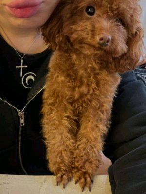 тут все будут?