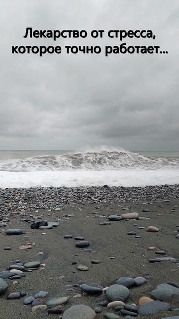 Наше любимое лекарство смотреть онлайн