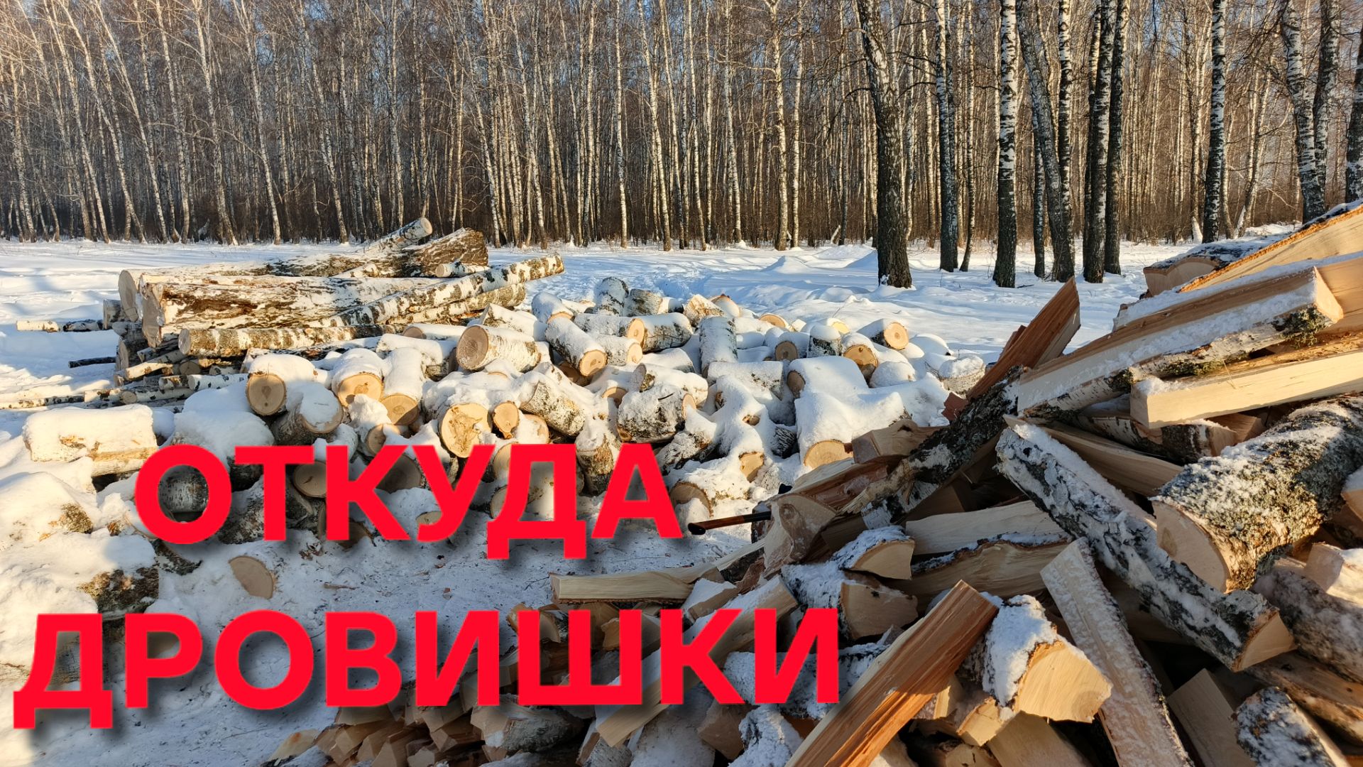 Жизнь в деревне Сибиряка в минус тридцать домой не загонишь смотреть онлайн