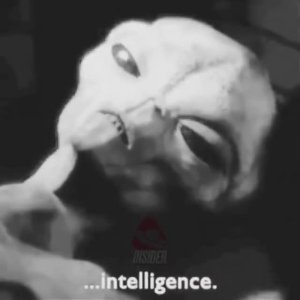 ❗️ВЫ УВЕРЕНЫ, ЧТО ВЫ ЧЕЛОВЕК?