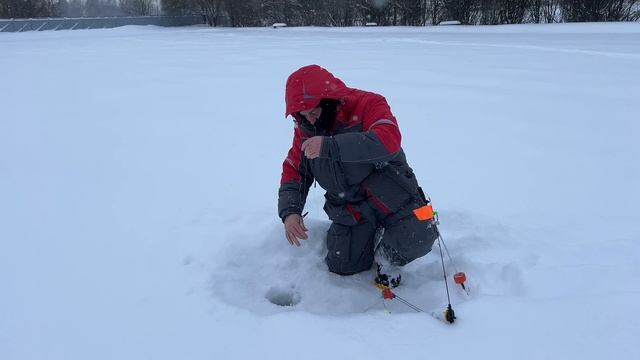 27-01-2026 смотреть онлайн