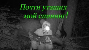 Сом почти утащил мой спиннинг! #клёвыйкадр #ночнаярыбалка #сом #рыбалканасома #рыбалканадонку #som