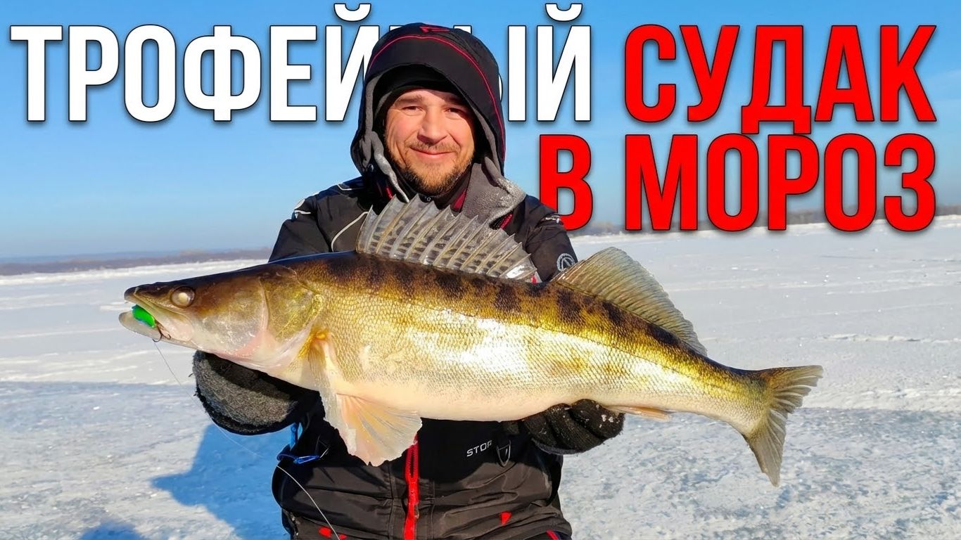 ТРОФЕЙНЫЙ СУДАК В МОРОЗ!!! ОДНА ЛУНКА — РАЗДАЁТ КАК В МАГАЗИНЕ 🐟🔥 смотреть онлайн