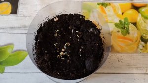 Мой огород 🙈