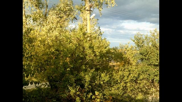 Панорама вид из окна частного дома смотреть онлайн