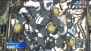 Павлово: столица лимонов, ножей и канареек