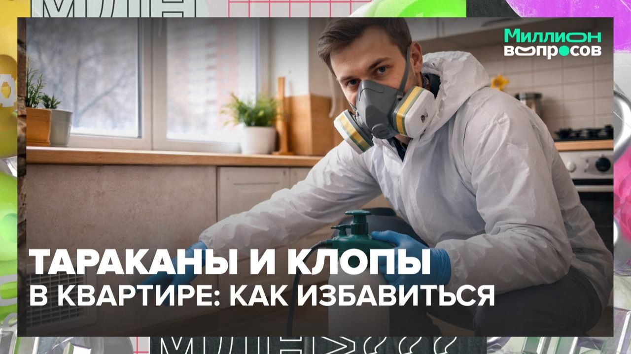 Как избавиться от насекомых в квартире? | Миллион вопросов — Москва 24 смотреть онлайн