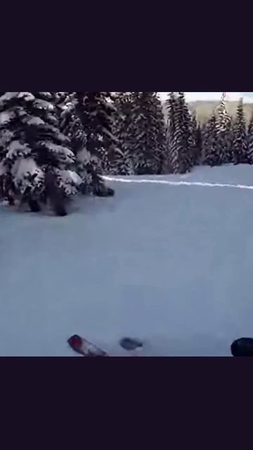 лыжныйспорт зимнийспорт катание зимниеразвлечения лыжныегонки