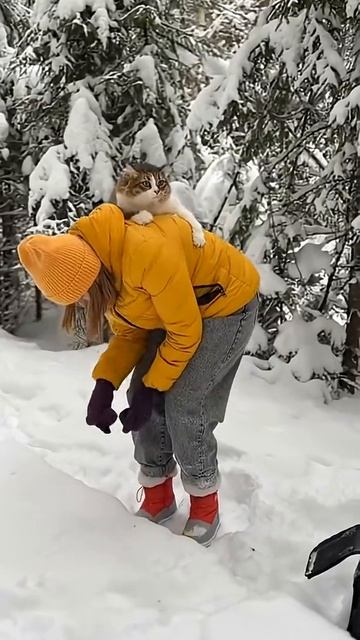 Лапки устали смотреть онлайн