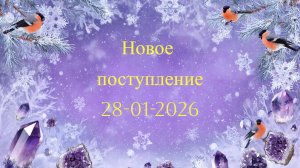 Новое поступление 28-01-2026