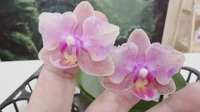 949 смотреть онлайн