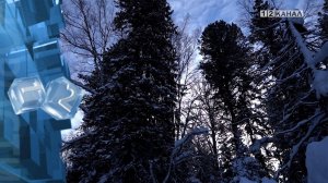 Суровые морозы, которые испытывали регион на прочность, начинают постепенно отступать