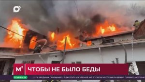 Квадратные метры / Собака в квартире / 27.01.26