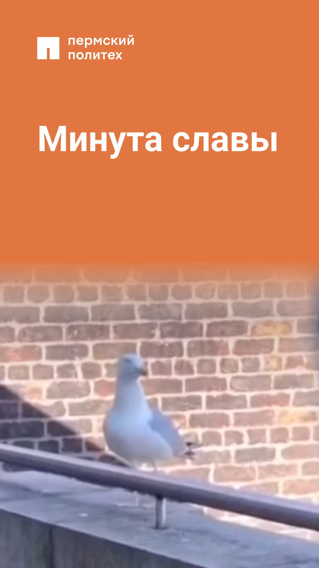 Это моя минута славы смотреть онлайн