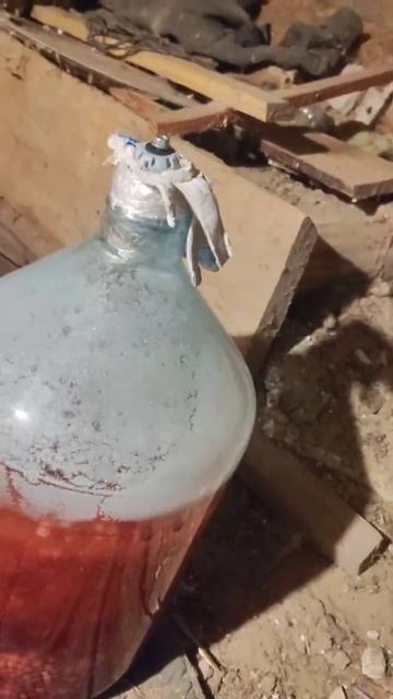 Всё померзло в подвале 🥺 #всёзамерзло #всевольду #вподвале смотреть онлайн