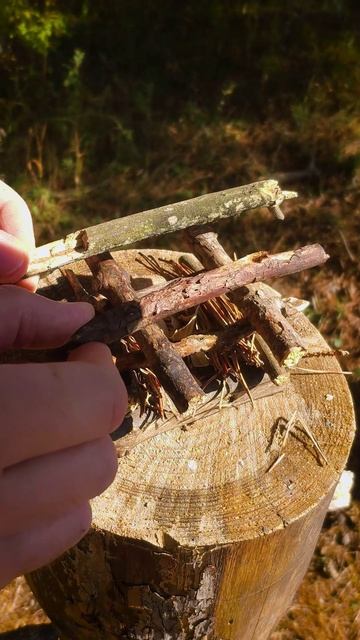 Он научит выживать! #лайфхаки #бушкрафт смотреть онлайн