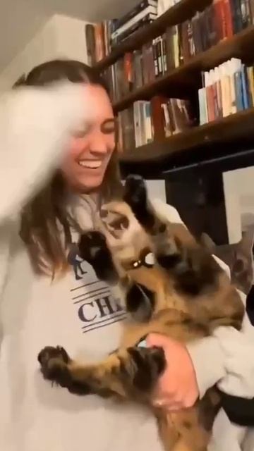 Девушка магнит смотреть онлайн