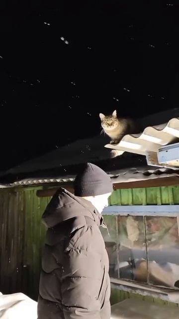 Вась, пошли домой смотреть онлайн