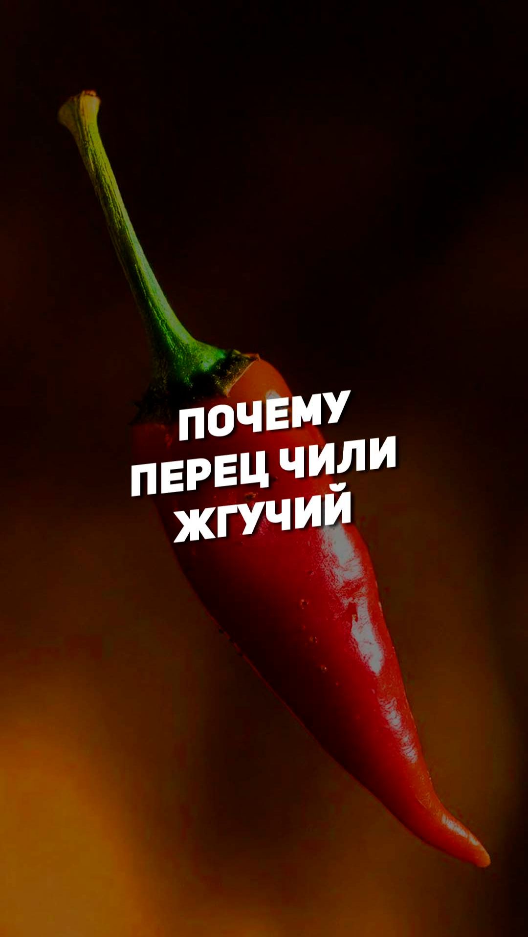 ПОЧЕМУ ПЕРЕЦ ЧИЛИ ЖГУЧИЙ | THE SPACEWAY смотреть онлайн