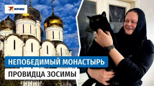 Люди и коты обители старца Зосимы