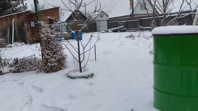 Заехал попроведывать ослика на дачу/01.2026г смотреть онлайн