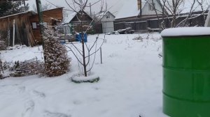 Заехал попроведывать ослика на дачу/01.2026г