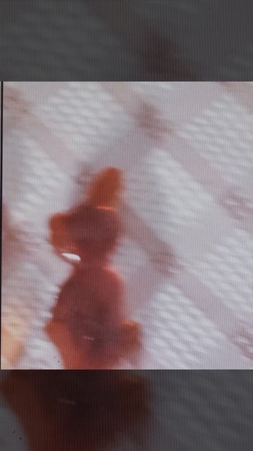 нупогоди!заяц и волк