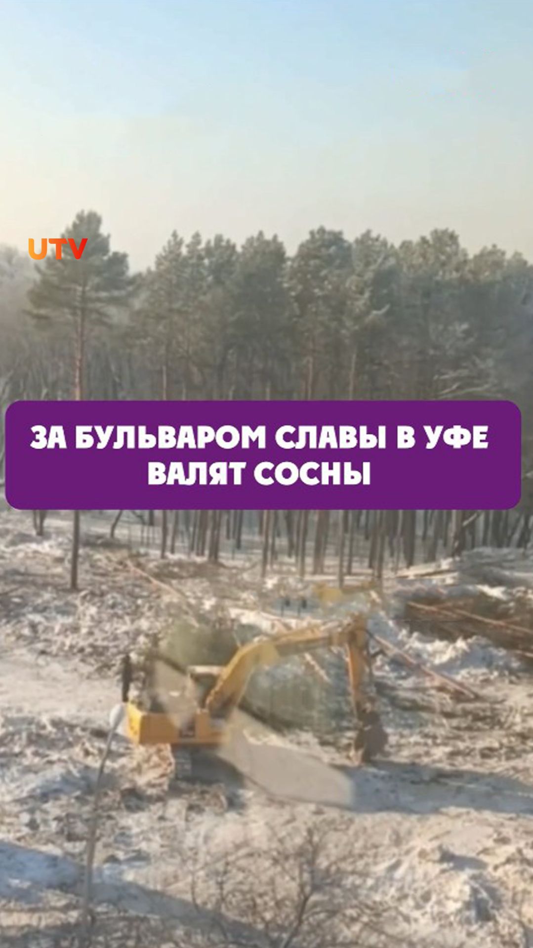 За бульваром Славы в Уфе валят сосны смотреть онлайн