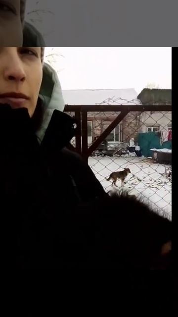 Поехали в семью 2025г