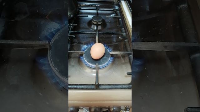 VID_20260127_093644.mp4 смотреть онлайн