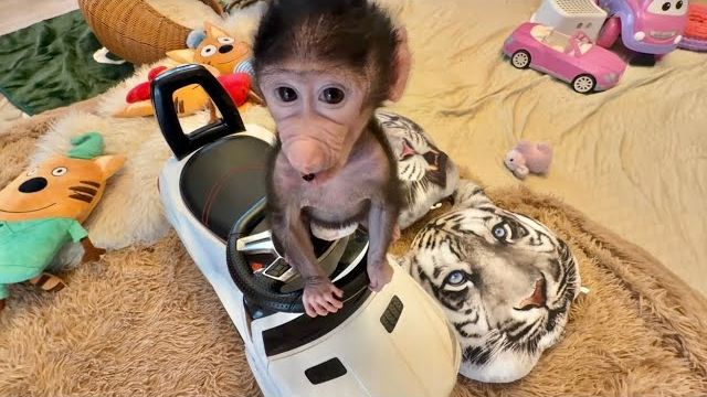 Николь стала такая активная, скоро уже не догонишь смотреть онлайн