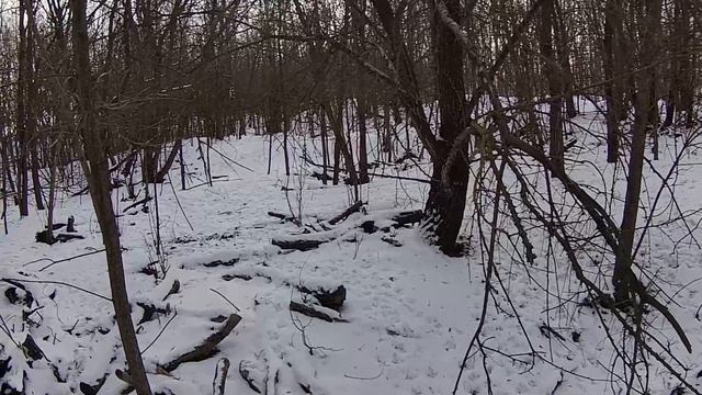 Лобовой - охота на зайца смотреть онлайн