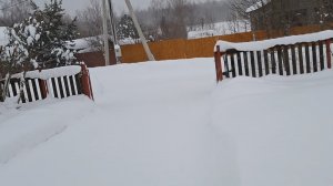 Замуровали дЭмоны...Забор скоро скроется...