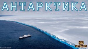 Антарктика, тайна жизни льда.