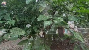 Замуж в Индию/ЗАПРЕТНОЕ МЕСТО ДЛЯ ИНДУСОВ. Повела мужа рискуя повредить карму.