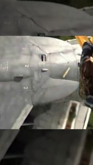 Без названия