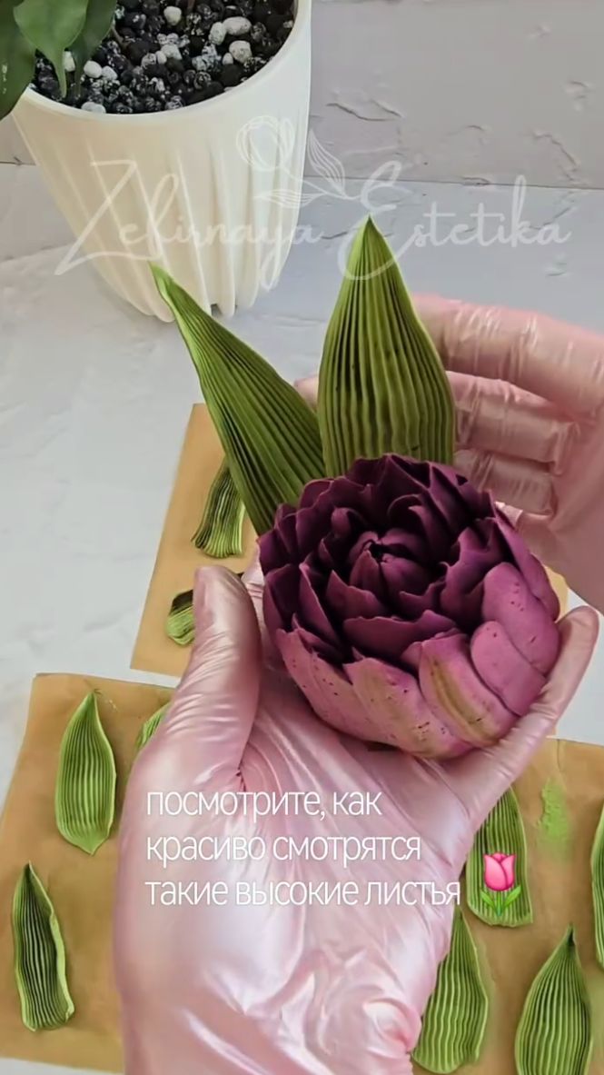 Отсадка листьев для тюльпанов🌷 смотреть онлайн