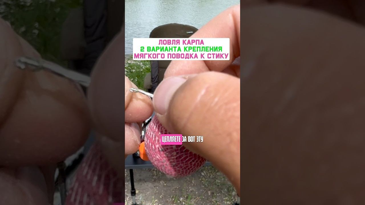 Как поймать много карпа при помощи ПВА СТИКА? Карпфишинг 2025 смотреть онлайн