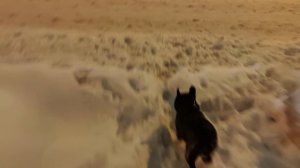 Краш прочищает Сугробы | И конечно - Отдых!