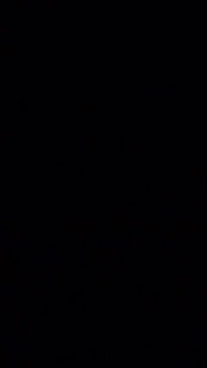 последний стрим