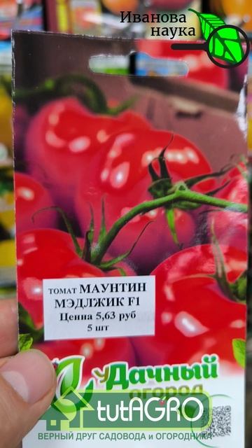 Эти томаты посажу ОБЯЗАТЕЛЬНО! 🍅 Мои фавориты на сезон 2026 года. НЕ БОЛЕЮТ и не трескаются. смотреть онлайн