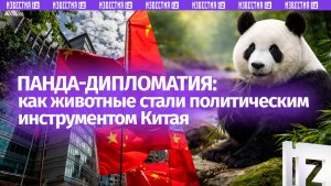 Панда-дипломатия: как Китай проучил Японию. Что случится с пандой Катюшей в 2027 году?