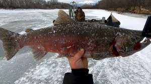 КАМЧАТКА - Рыбацкий рай  #6  Второй день  Улов ещё лучше