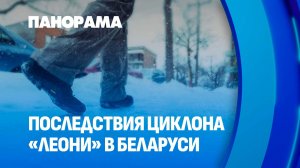 Ледяной дождь, резкое потепление, гололед: циклон "Леони" накрыл Беларусь. Панорама